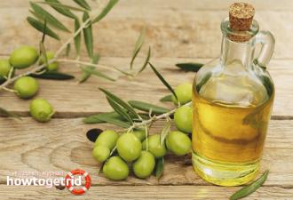 Как правильно хранить оливковое масло холодного отжима и рафинированное: ошибки, способные испортить продукт